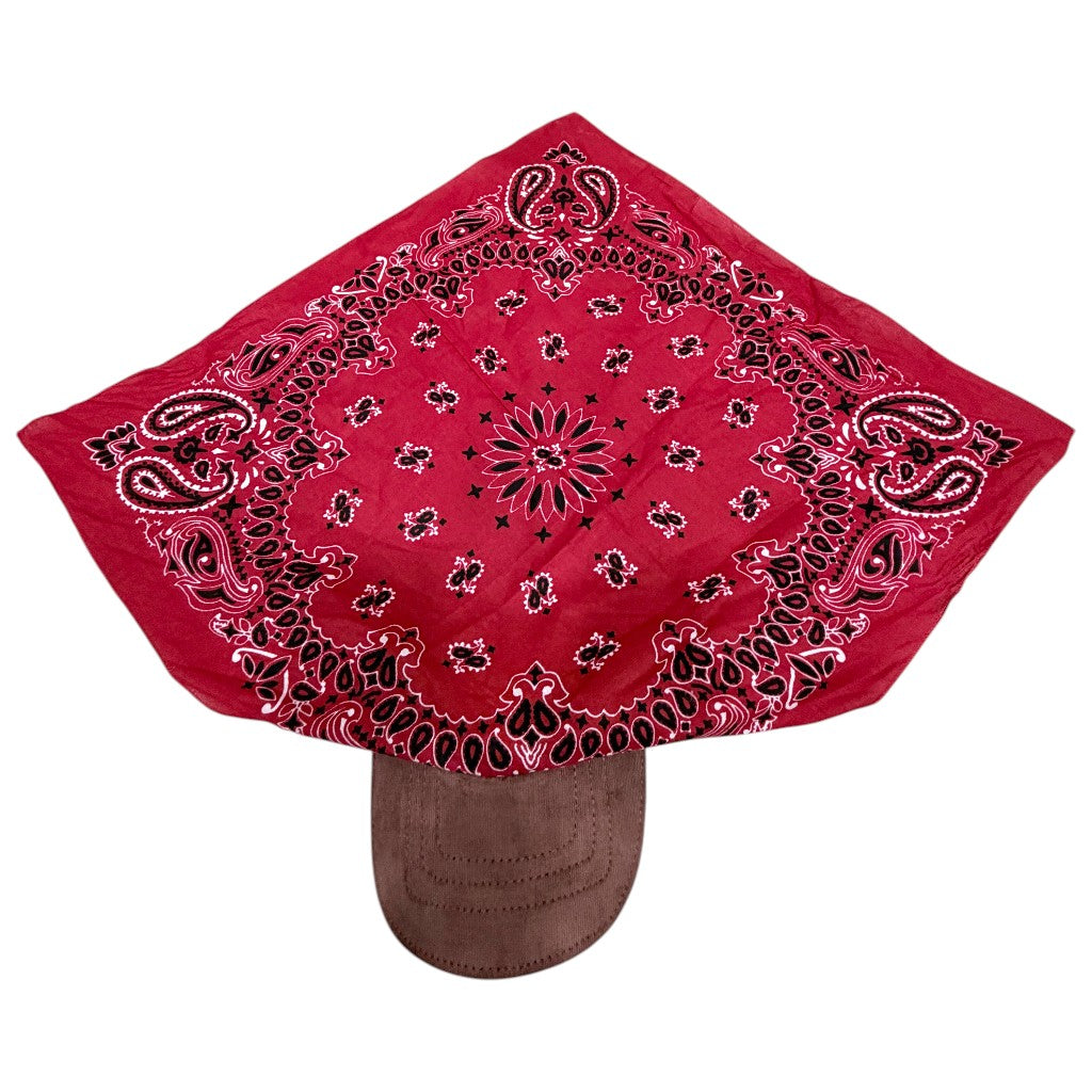 A red bandana with black and white paisley patterns draped over a brown baseball cap on a plain white background.